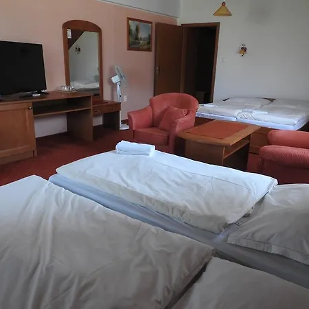 Guest house Montana 3*