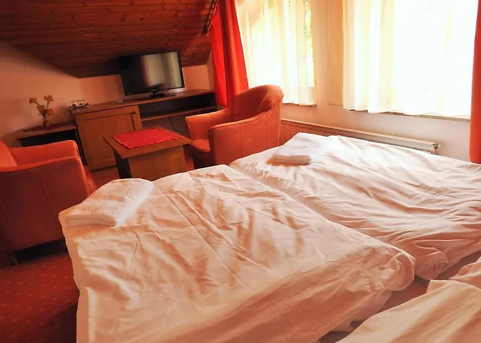 Guest house Montana 3*