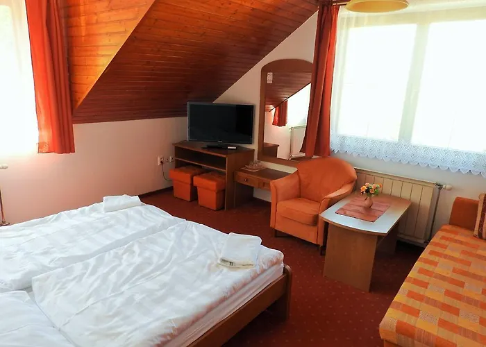 Montana Guest house Terchova