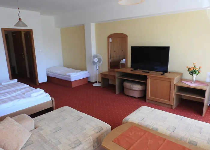 Guest house Montana 3*